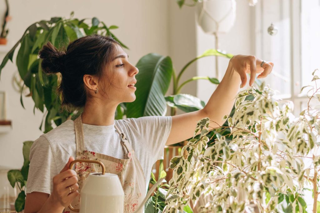 Outdoor Plants: Transform Your Garden Naturally